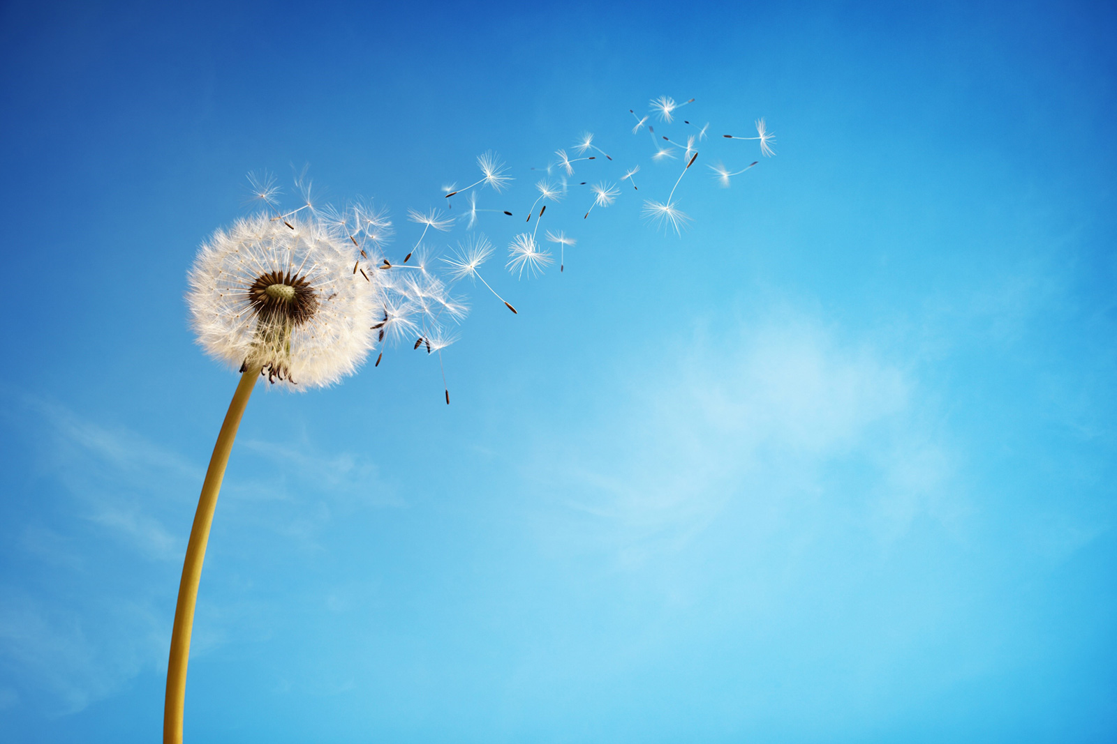 Letting Go for mental wellbeing
